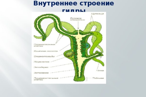 Kraken маркетплейс kr2web in