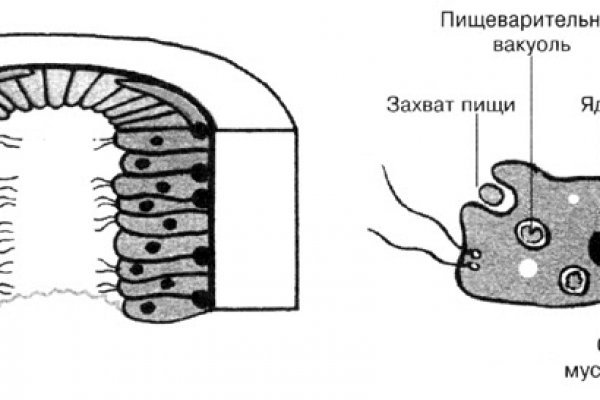 Кракен зайти