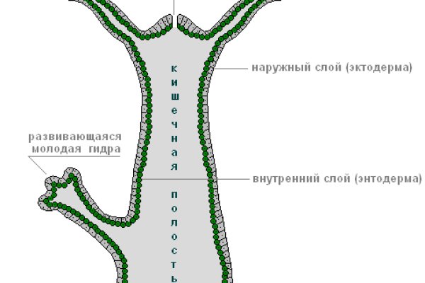 Кракен наркокортель